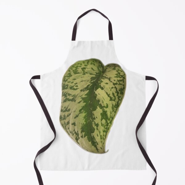 Item preview, scindapsus pictus exotica designed and sold by laceyyyann34.