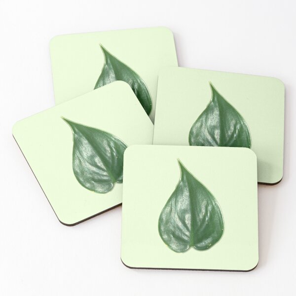Item preview, heart leaf philodendron designed and sold by laceyyyann34.