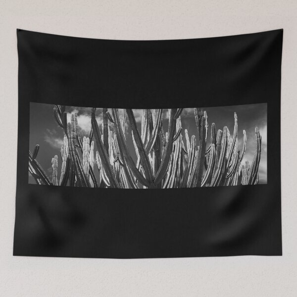 Item preview, Tall green candelabra cactus i n Auckland Botanical Gardens in monochrome. designed and sold by Brian Scantlebury.