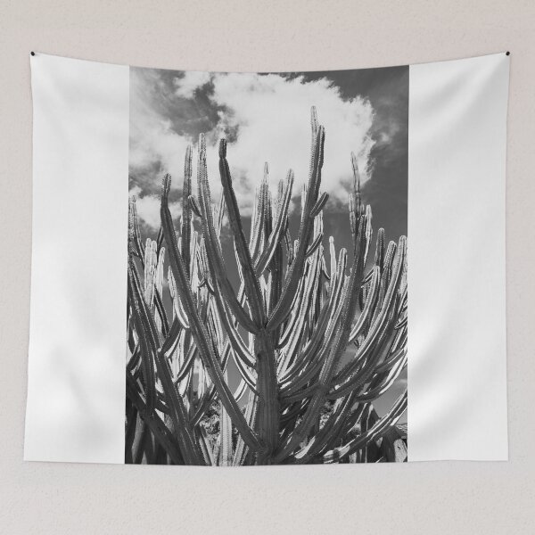 Item preview, Tall green candelabra cactus i n Auckland Botanical Gardens in monochrome. designed and sold by Brian Scantlebury.
