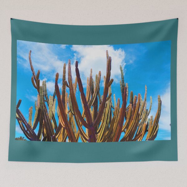 Item preview, Aged image effect tall green candelabra cactus in Auckland Botanical Gardens. designed and sold by Brian Scantlebury.