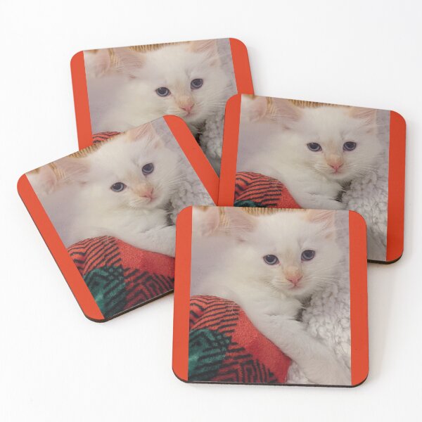 Item preview, Ragdoll Maine coon kitten designed and sold by Fluffycat2020.