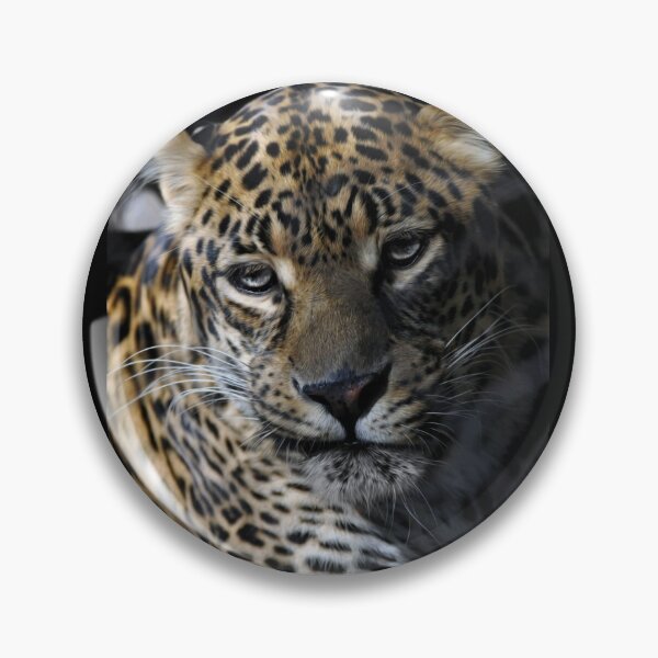 Item preview, Leopard  designed and sold by Savannah Gibbs.