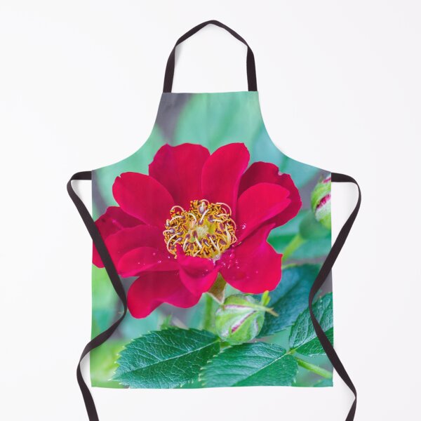 Item preview, Red Rose designed and sold by KarenWoodArt.