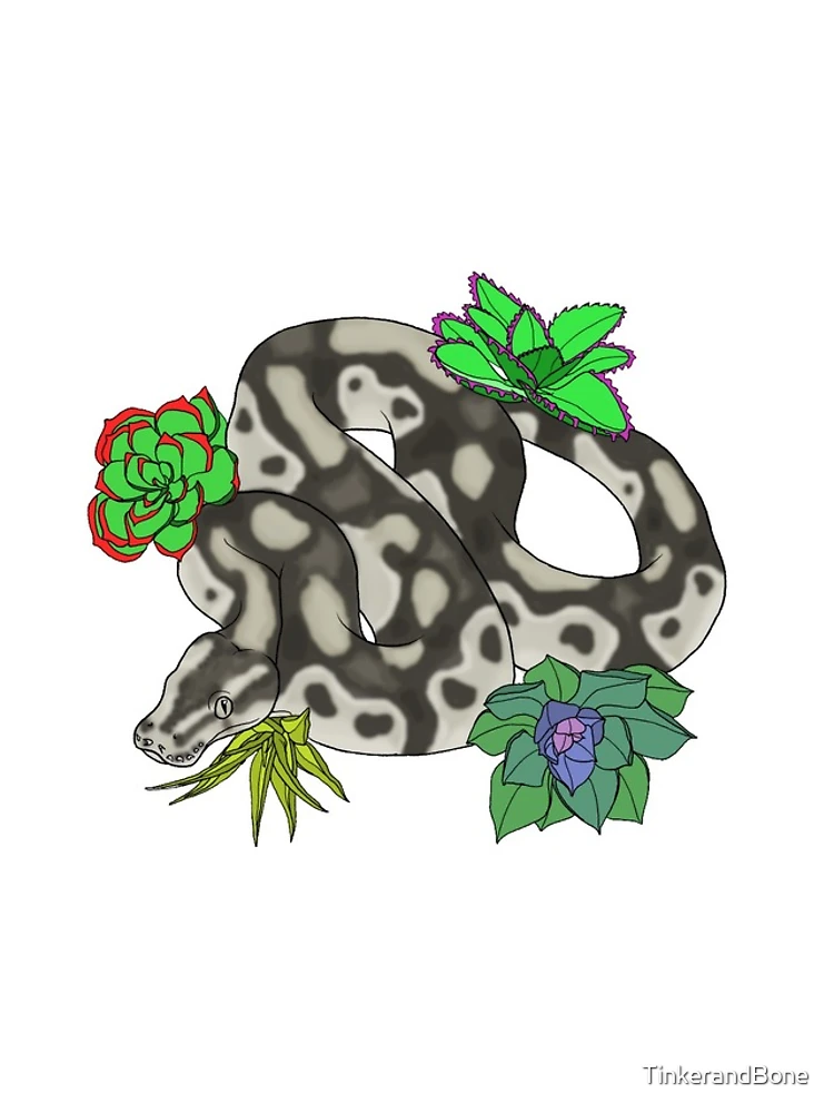 Thumbnail 4 of 4, iPhone Case, Axanthic Ball Python designed and sold by TinkerandBone.