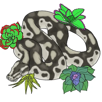Imagen de la obra Axanthic Ball Python de TinkerandBone
