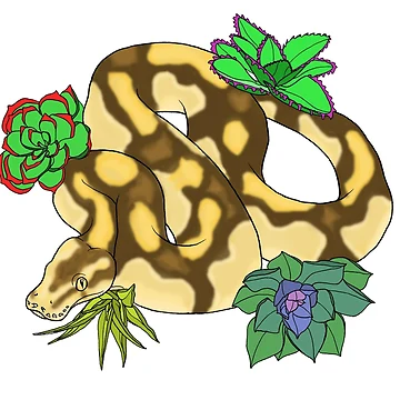 Artwork thumbnail, Butter Ball Python by TinkerandBone