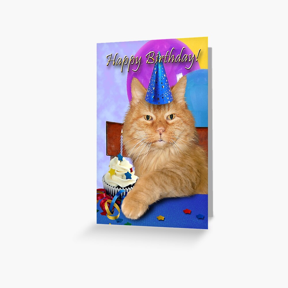 happy birthday from orange tabby kitten