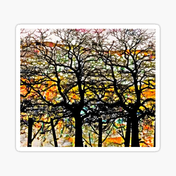 Item preview, Sunlit Winter trees designed and sold by Aquila Light Pictures.