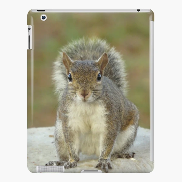 Squirrel face to face | iPad Case & Skin