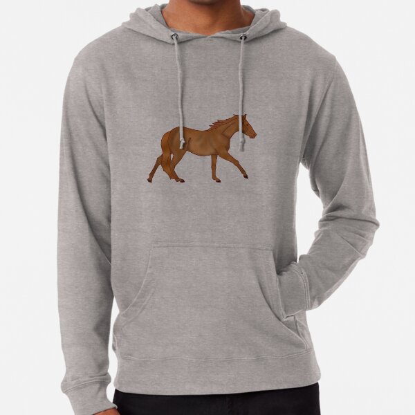 Aqha hoodie top