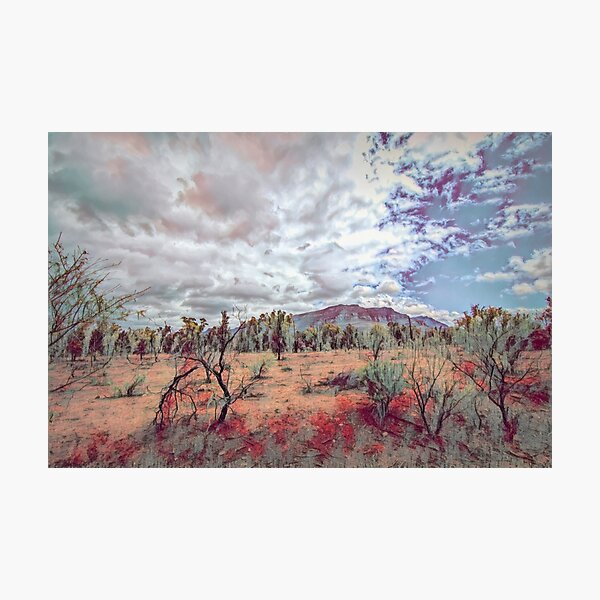 Item preview, Flinder's Range Painted designed and sold by DVJPhotography.