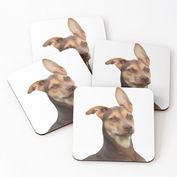 Item preview, One eared dog.  designed and sold by KimYanick.