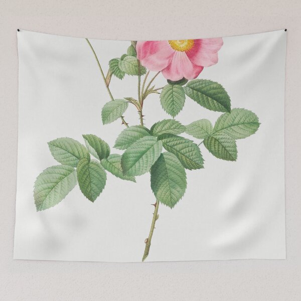 Item preview, Les Roses by Pierre-Joseph Redouté designed and sold by EsotericBotanic.