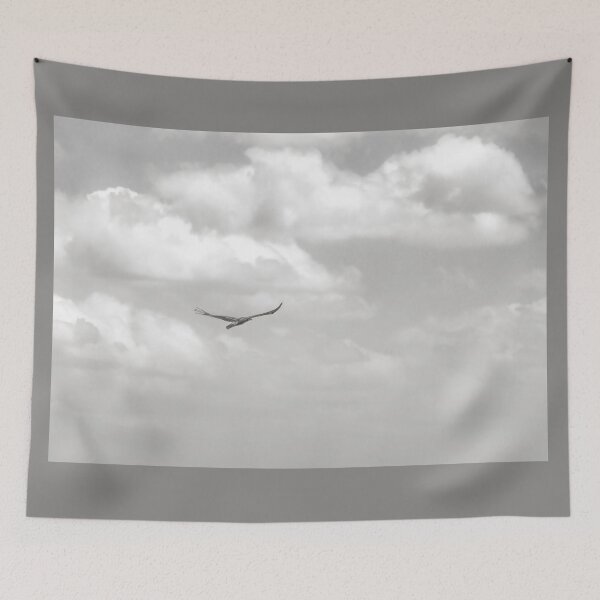 Item preview, Flying Solo designed and sold by DVJPhotography.