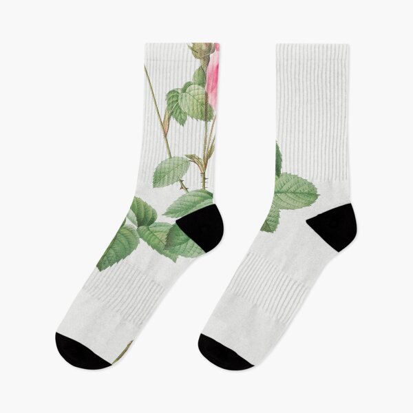 Item preview, Les Roses by Pierre-Joseph Redouté designed and sold by EsotericBotanic.