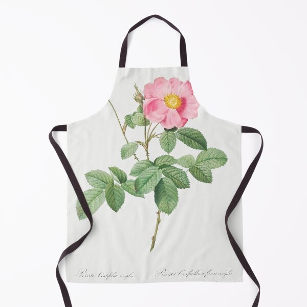 Item preview, Les Roses by Pierre-Joseph Redouté designed and sold by EsotericBotanic.
