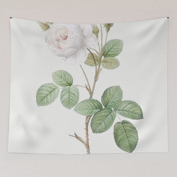 Item preview, Les Roses by Pierre-Joseph Redouté designed and sold by EsotericBotanic.