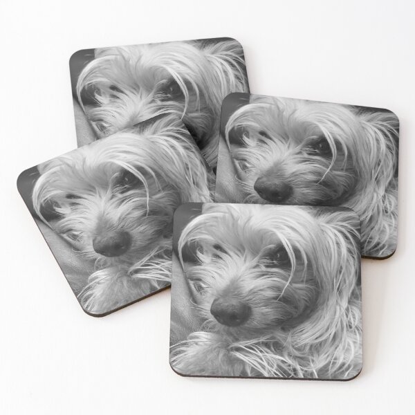 Item preview, Yorkie Beauty designed and sold by ApacheD21.