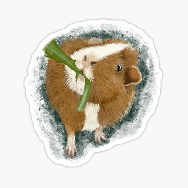 Niedliche Meerschweinchen Geschenke Merchandise Redbubble