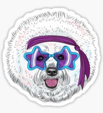 Star Disco dog Bichon Sticker