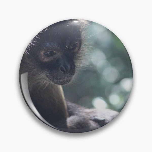 Item preview, Monkey designed and sold by Linda Sijpkes.