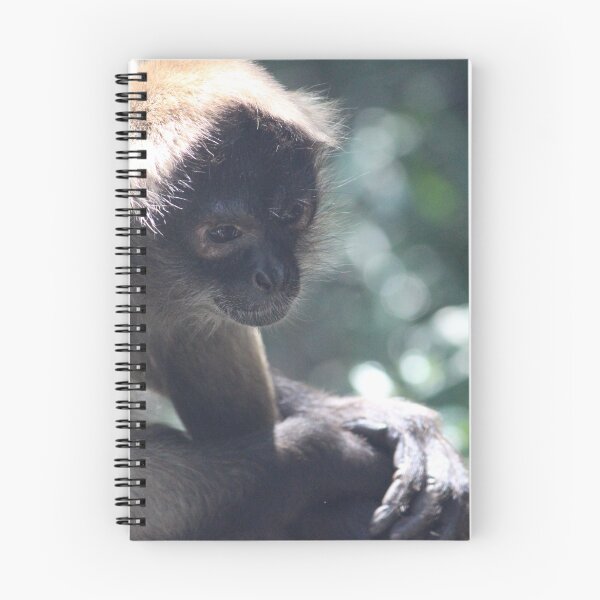 Item preview, Monkey designed and sold by Linda Sijpkes.