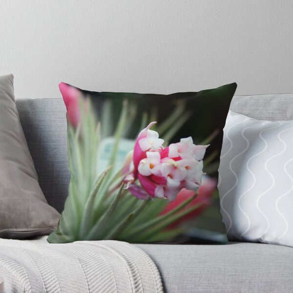 Item preview, Air Plant designed and sold by Katagram.