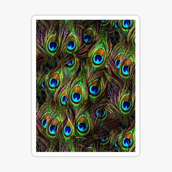 Peacock Feathers Invasion Sticker