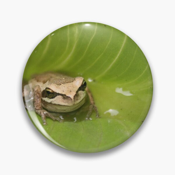 Item preview, Little visitor designed and sold by Denzil.