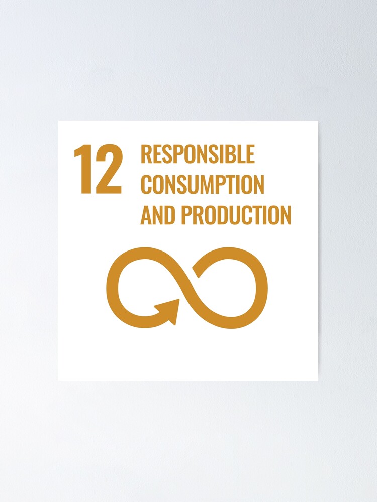 "UN SDG 12 Responsible Consumption And Production - Ensure Sustainable ...