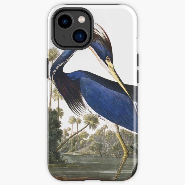 Tricolored Heron - John James Audubon iPhone Tough Case