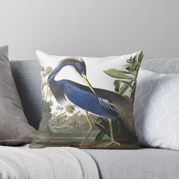 Item preview,  Tricolored Heron - John James Audubon designed and sold by billythekidtees.
