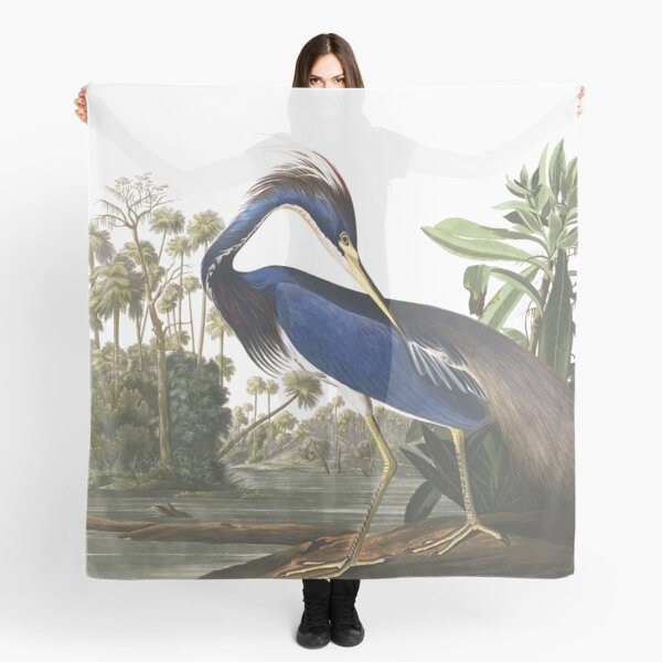 Tricolored Heron - John James Audubon Scarf