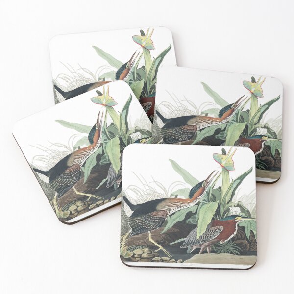 Item preview, Green Heron - John James Audubon designed and sold by billythekidtees.