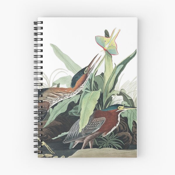Item preview, Green Heron - John James Audubon designed and sold by billythekidtees.