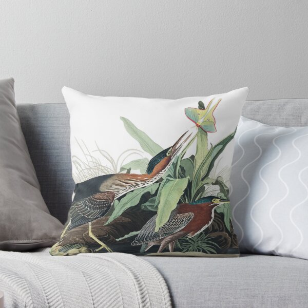 Item preview, Green Heron - John James Audubon designed and sold by billythekidtees.