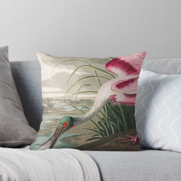 Item preview, Roseate Spoonbill - John James Audubon designed and sold by billythekidtees.