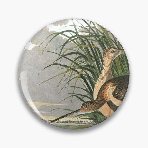 Item preview, Long-billed Curlew - John James Audubon designed and sold by billythekidtees.