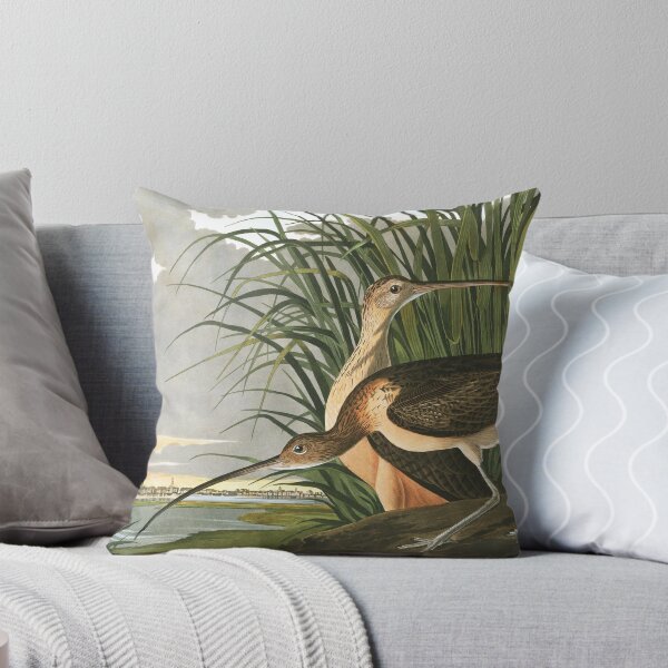Item preview, Long-billed Curlew - John James Audubon designed and sold by billythekidtees.