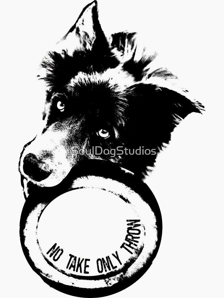 NO TAKE. ONLY THROW. (Border Collie) by SoulDogStudios