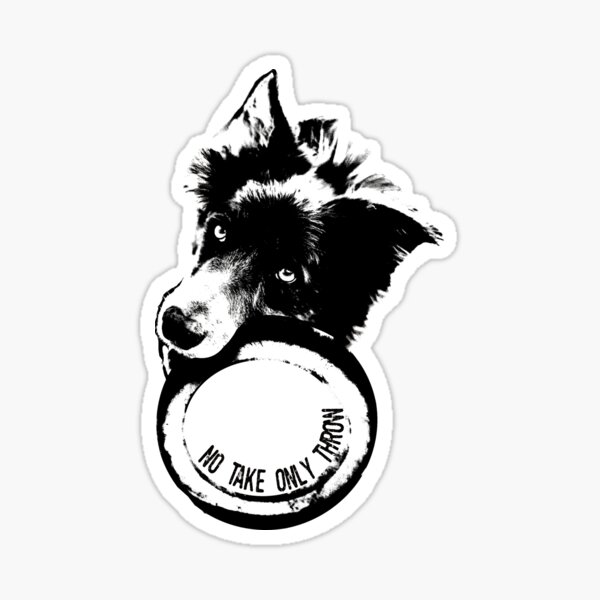 NO TAKE. ONLY THROW. (Border Collie) Sticker