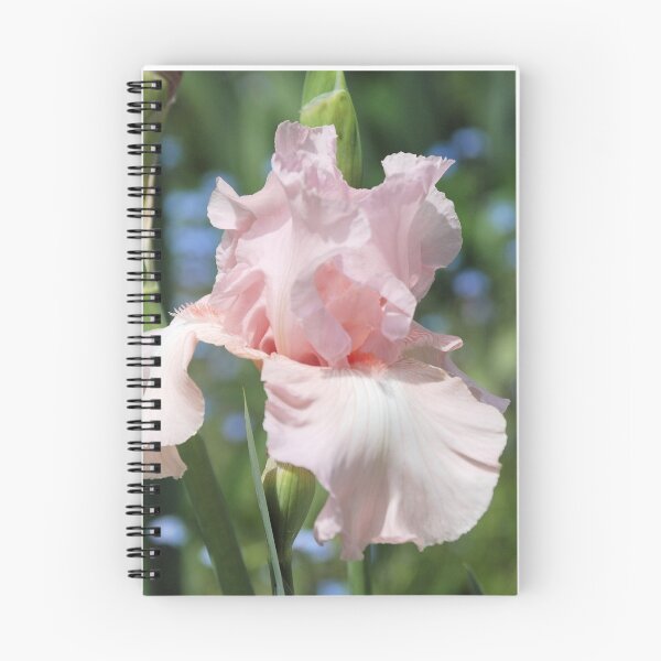 Item preview, Soft Pink Iris designed and sold by Kathleen Brant.