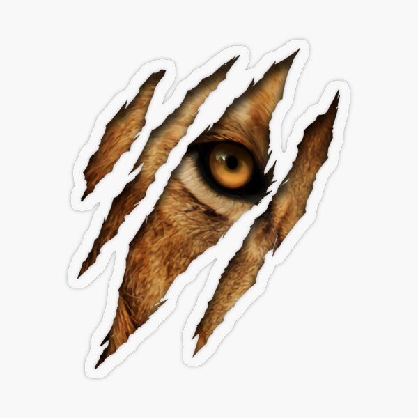 Barbary Lion Transparent Sticker