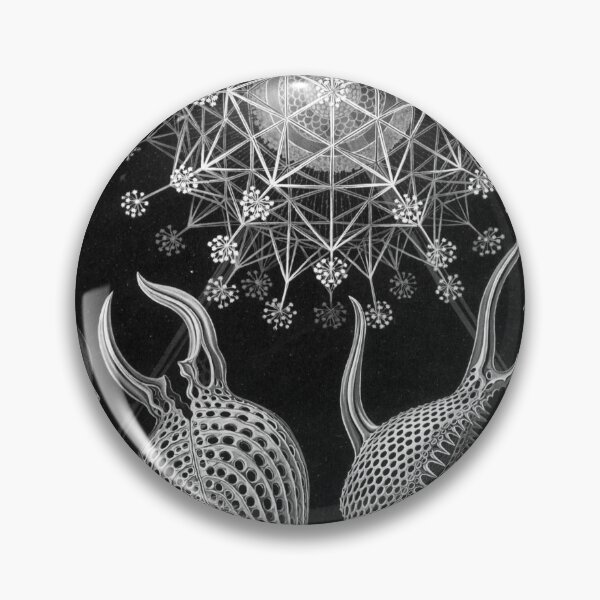 Item preview, Ernst Haeckel Phaeodaria Illustration designed and sold by REACTIVIST.