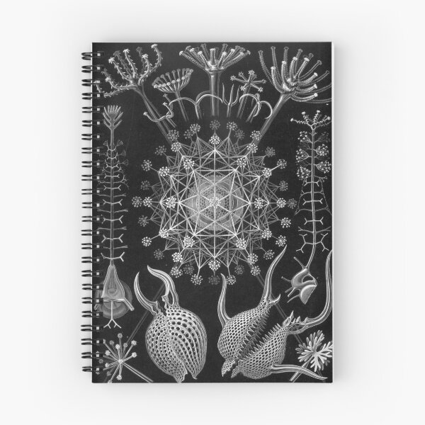 Item preview, Ernst Haeckel Phaeodaria Illustration designed and sold by REACTIVIST.