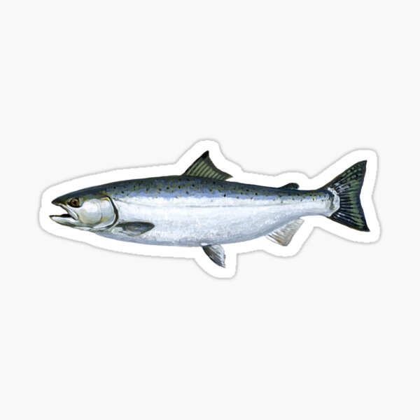 Salmon Merch & Gifts for Sale