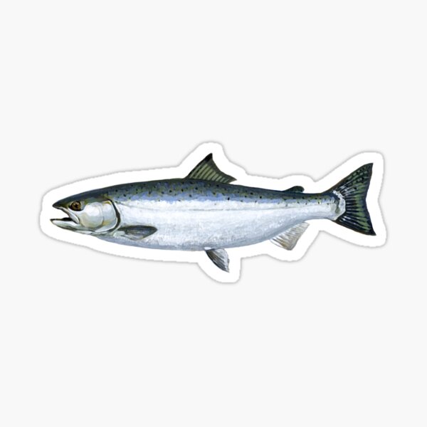 Fishing Decal, Salmon Decal, Mountain Decal, Mountain Salmon