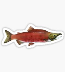 Pegatina Sockeye Salmon