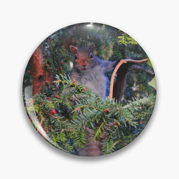 Item preview, Squirrel in a pine tree  designed and sold by ViewTouristic.